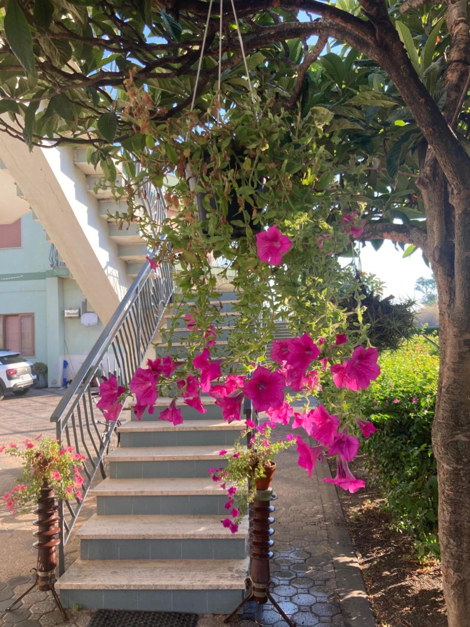 Villa Con Piscina Esclusiva Vista Etna Маскали Екстериор снимка