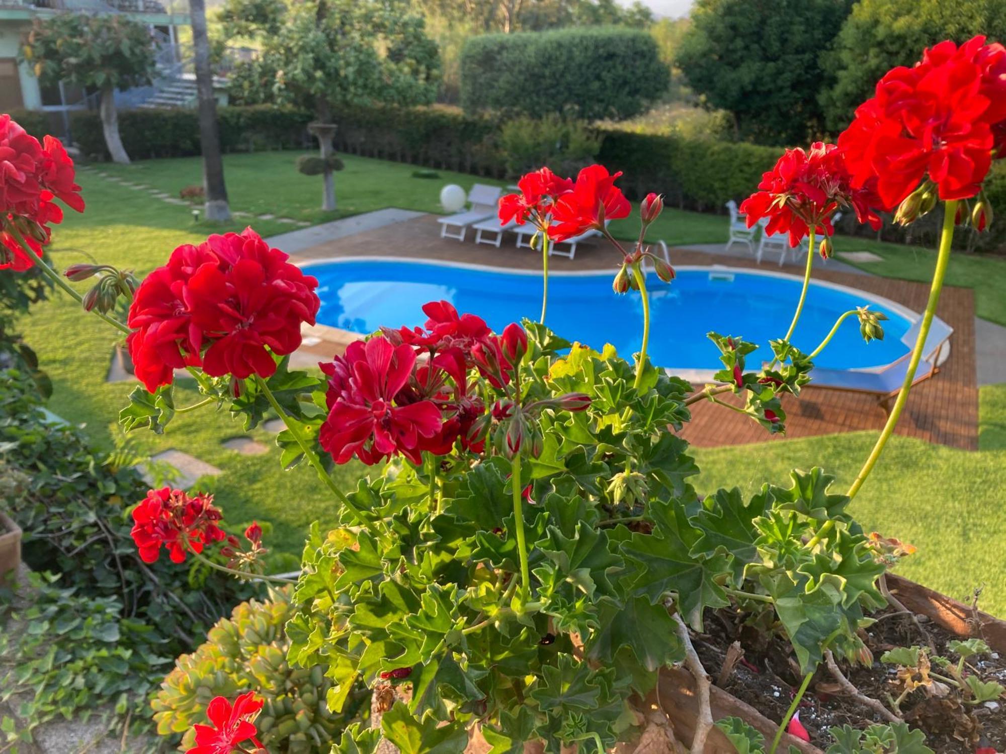 Villa Con Piscina Esclusiva Vista Etna Маскали Екстериор снимка