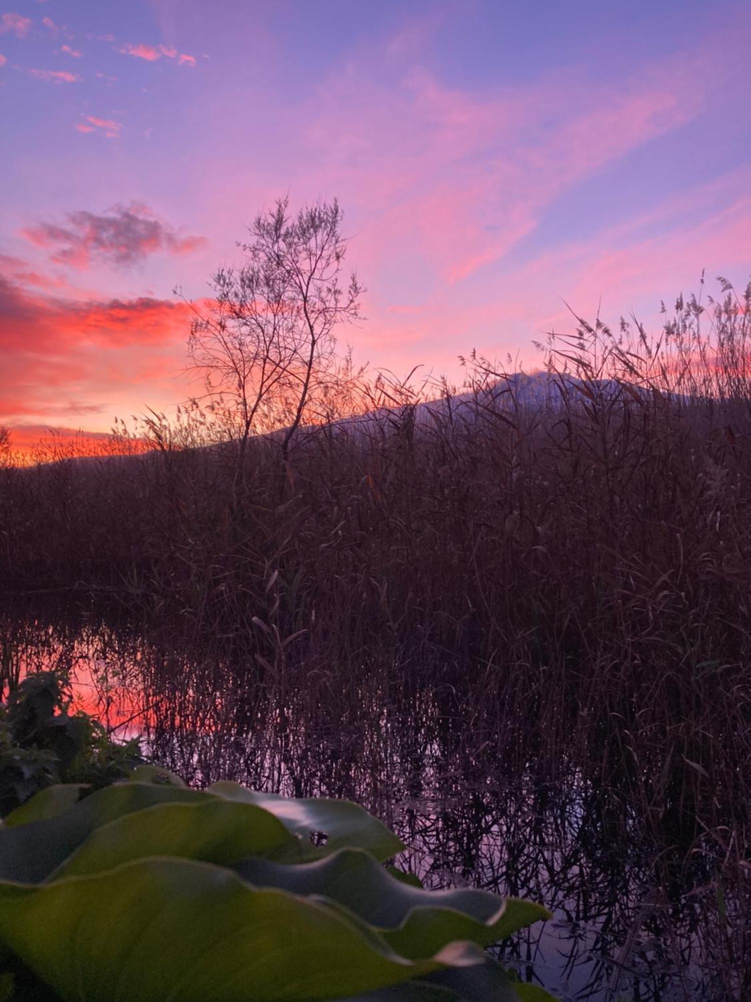 Villa Con Piscina Esclusiva Vista Etna Маскали Екстериор снимка