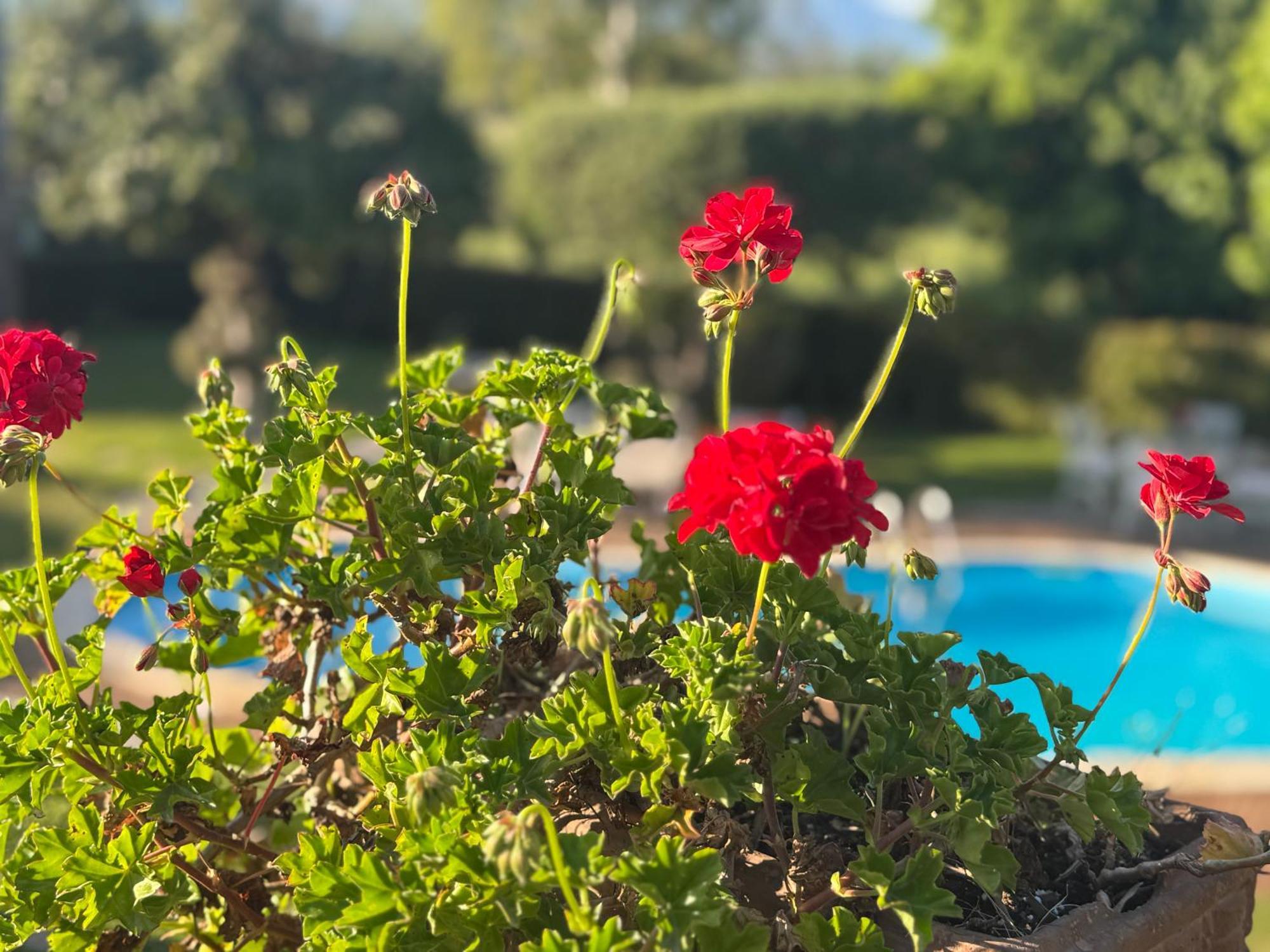 Villa Con Piscina Esclusiva Vista Etna Маскали Екстериор снимка