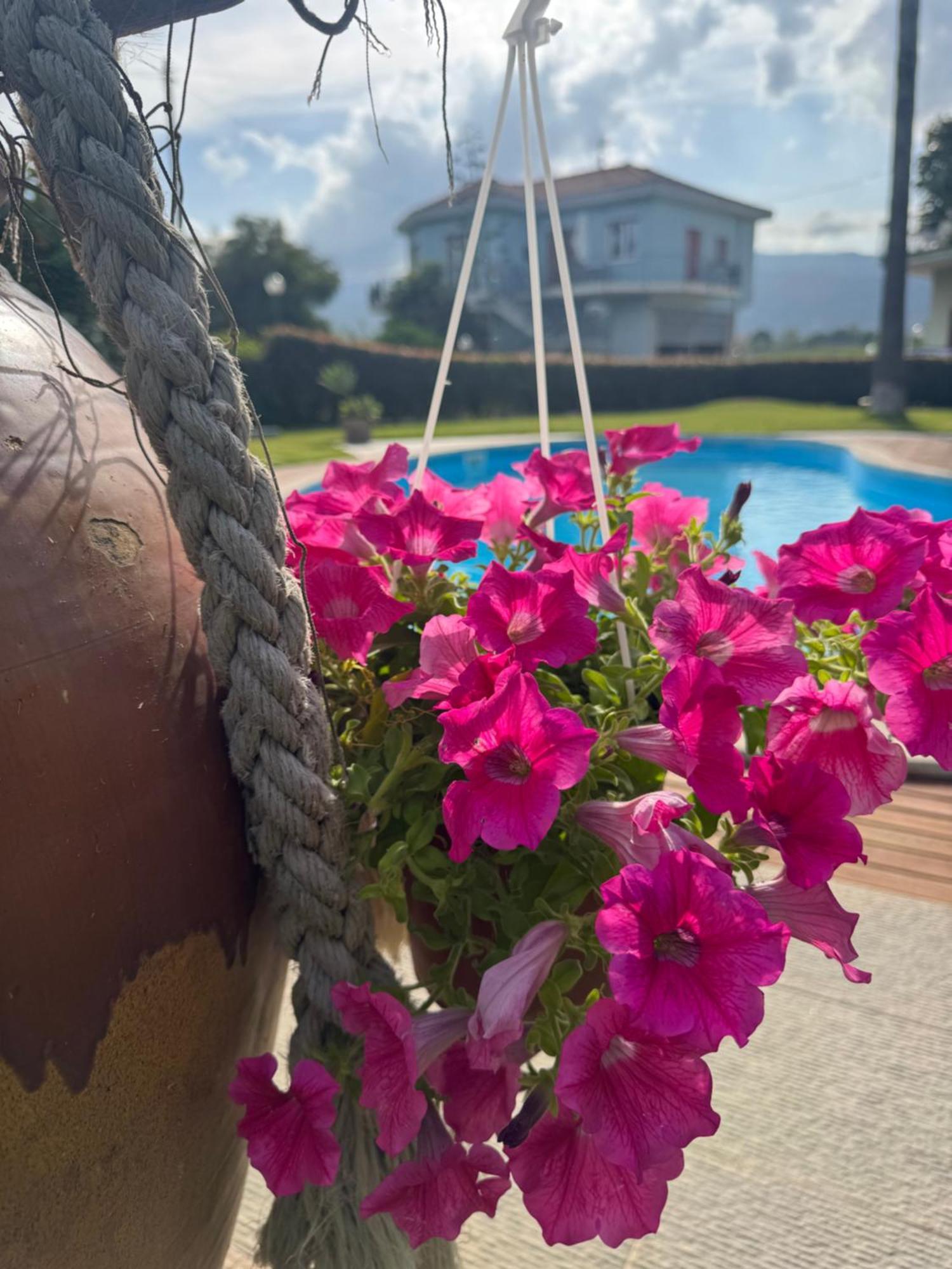 Villa Con Piscina Esclusiva Vista Etna Маскали Екстериор снимка