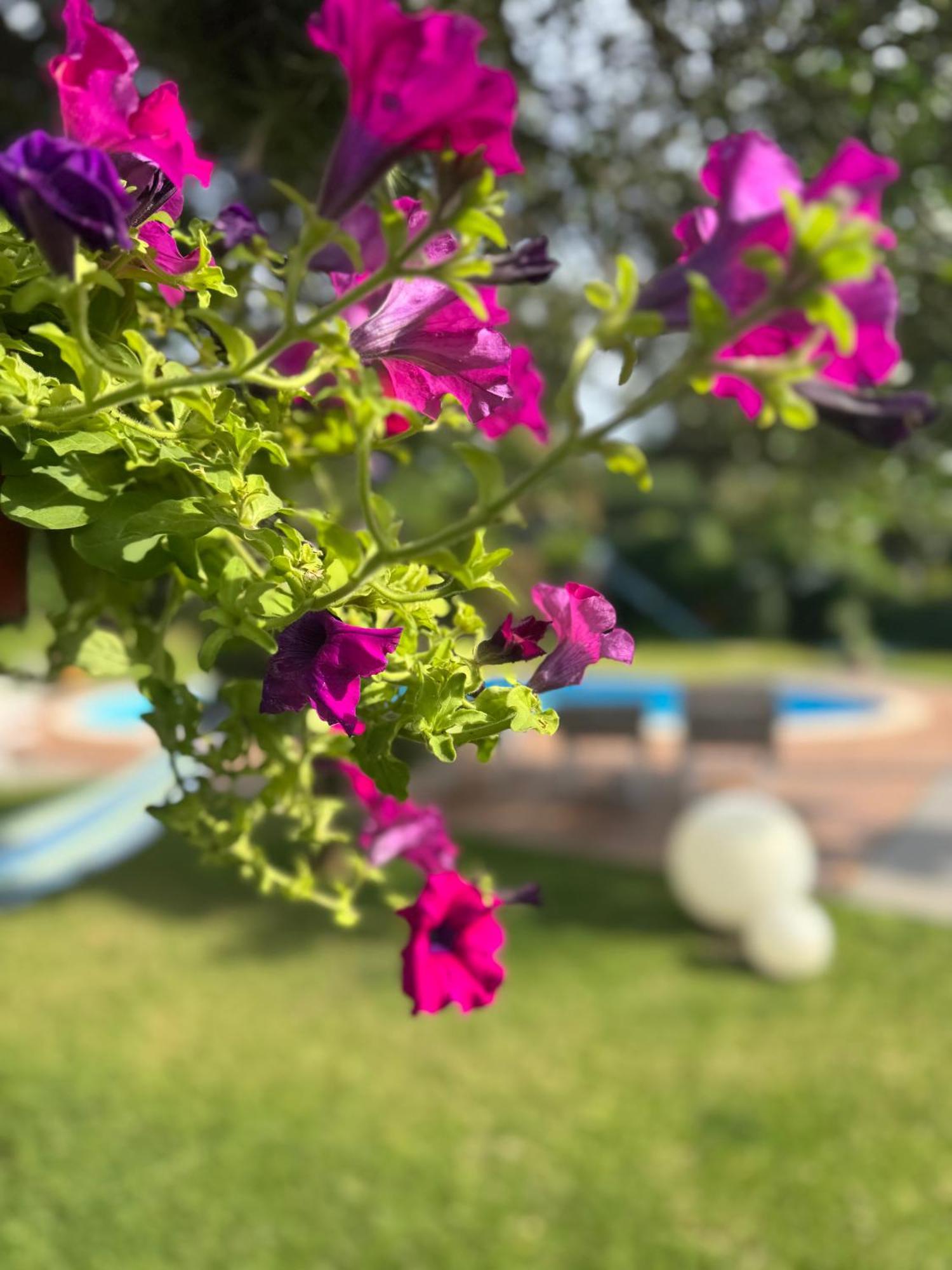 Villa Con Piscina Esclusiva Vista Etna Маскали Екстериор снимка